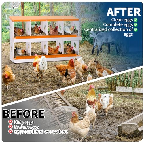 8 Compartment Galvanized Metal Chicken Nesting Box, Easy Install & Clean Roll Out Egg Laying Boxes for Backyard Chicken Coop, Anti-Rust Egg Protection Nest,Orange - color: Orange, size: 8 holes