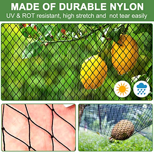 DQS Bird Netting for Garden 25x25ft, 1" Mesh Poultry Net for Chicken Coop | Heavy Duty Nylon Garden Netting, Fruit Tree Netting for Blueberry Bushes, Vegetable Against Squirrels, Deer - size: 1", 25' x25'