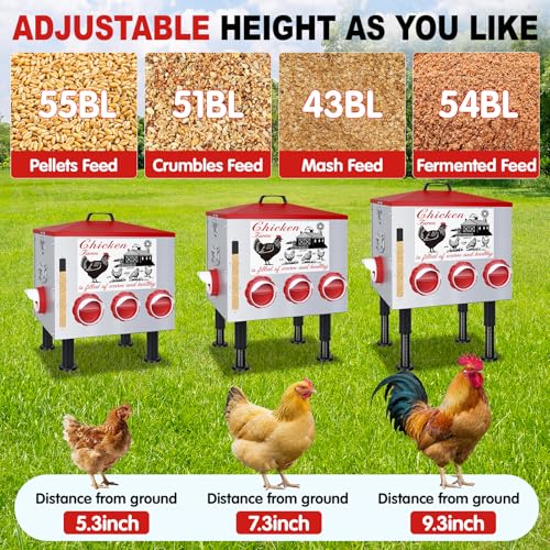 50Lb Automatic Chicken Feeder with Window 10 Port No Waste Rust-Proof Galvanized Steel with Locking Lid & Adjustable Height Legs Waterproof Portable Poultry Feeder for Chickens,Ducks,Geese
