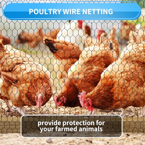 12'' x 150' Black Chicken Wire Mesh Fence, 19 Gauge Galvanized Poultry Netting and 1 inch Garden Mesh Fence Roll, Chicken Wire for Floral Arrangements/Crafts/Farm/Livestock/Pet Protection - size: 19 gauge 12'' x 150'
