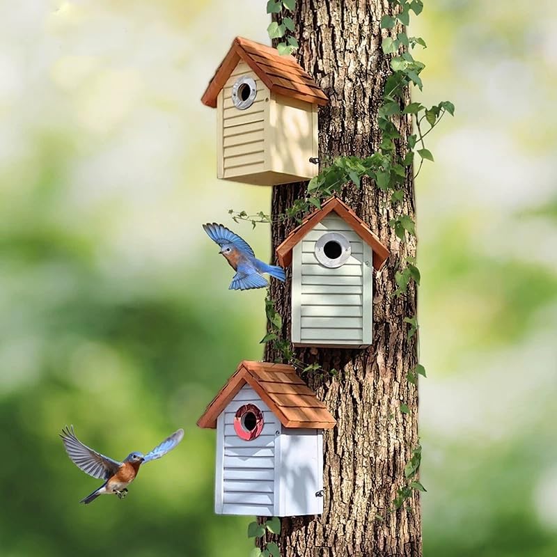 3pk Bluebird Bird Houses for Outside Clearance - Bird House for Wall Mounting - Tree Swallow Nest Box with Stainless Steel Predator Guard - Cedar Shingles Roof UV Painting - 10 Years Outdoor