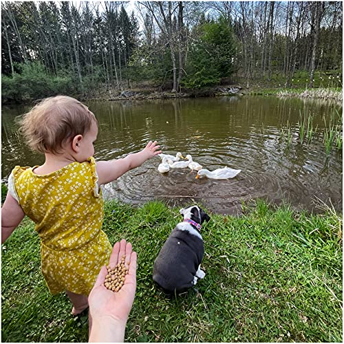 Natural Waterscapes Waterfowl Feed Open Water Diet 40 lb | for Feeding Ducks Geese Swans | Floating Pellets with Niacin for Ducks
