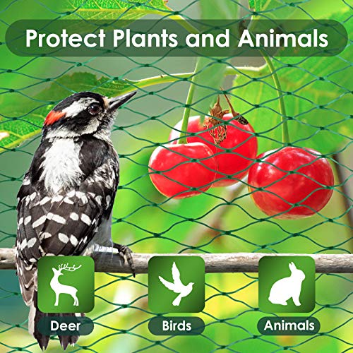 Ruolan Bird Netting for Garden Protect Vegetable Plants and Fruit Trees13X20Ft,Plastic Trellis Netting for Birds, Deer,Squirrels and Other Animals - size: 13X20