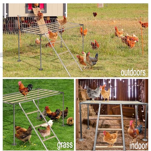 Chicken Roosting Ladder, Chicken Perch Coop, Large Metal Coop Accessories, Strong and Durable, Easy to Installation&Clean, Backyard Playground, 43.3' L X 19.3' W X 39.4'