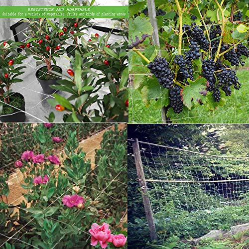 6in Mesh Trellis Netting, 5x15ft, 1 Pack | Polyester mesh netting for vine crops & plants; Suitable for garden garden applications - size: 6" Mesh (5'X15')