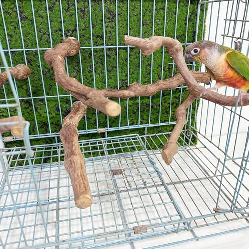 5 PCS Natural Grape Stick Perch Swing Chewing Toys for Parrot Cages, Cockatiels, Parakeets, Finches - Bird Standing Stick - color: 1