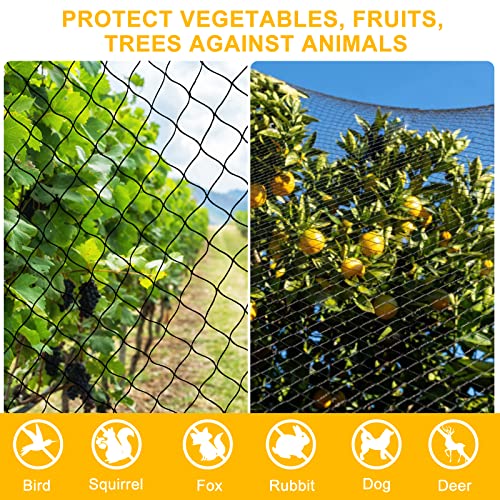 BSTPCOO 2.4" Mesh Nylon Bird Netting 50'x50', Poultry Netting, Chicken Net | Heavy Duty Bird Net for Chicken Coop, Hawk Net for Chicken Run, Aviary Nets, Garden Netting with Cable Ties and Stakes - size: 50'×50'-2.4''