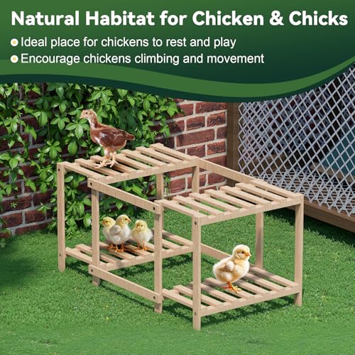 Flehomo Chicken Perch, Wooden Roosting Bars with Ladder for Chicken Coop & Chicken Jungle Gym, Toy for Chicks & Hen Chickens