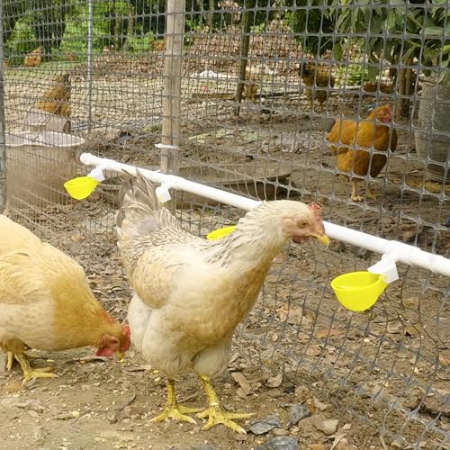 Chicken Water Cups with PVC Tee Fittings for 1/2" Pipe, Automatic Chicken Watering System, Anti-Leak, Holds 50% More Water, Suitable for Chicks, Chicken, Duck, Quail, Birds (Yellow, 4 PVC Cups) - size: 4 PVC Cups