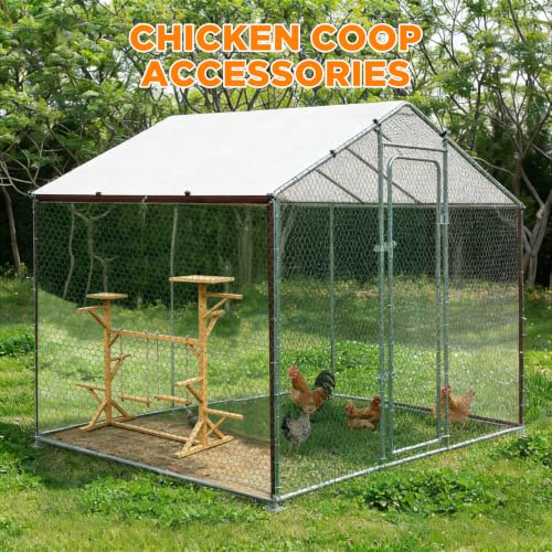 Wooden Chicken Roosting Bars Multi-Level Chicken Perch with Swings for Coop | for 8-12 Chickens, Let Chickens Run, Play & Stay Healthy, Ideal for Backyard Coops & Farms