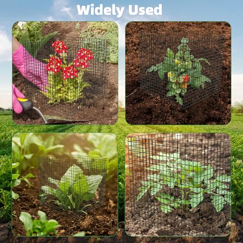 UNIFAMILY 8Pcs Plant Protectors from Animals, 2 Pack Metal Wire Plant Cage, Garden Protector Cage from Deer, Mesh Garden Protector from Rabbits, Chicken Wire Plant Covers from Animals - size: 8 Pcs Plant Protectors