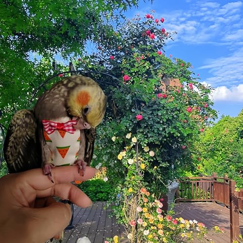 4Pcs Bird Diapers Bird Harness Flight Suits Diapers Reusable Parrot Nappy with Waterproof Inner Layer Washable Cute Urine Wet Suit Costume for Cockatiel Conure Budgie Parakeet-Fruit,L