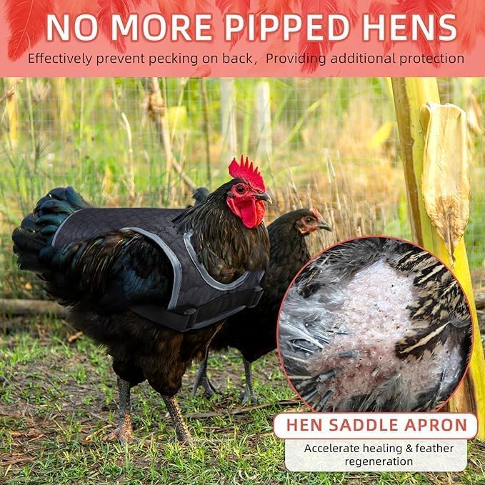 Chicken Saddle for Hens - Chicken Aprons for Hens With Adjustable Straps, Chicken Aprons & Vest Jacket for Hens - style: (Black, White, Yellow) Feather