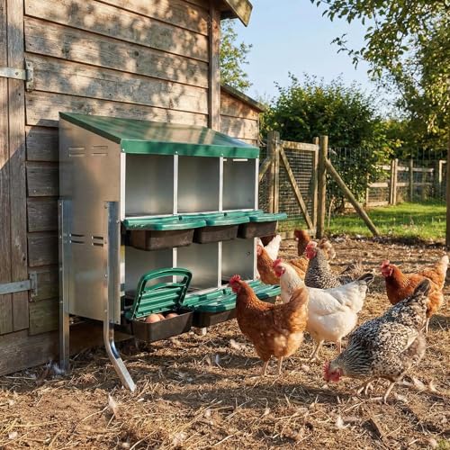 GarveeTech 6-Hole Poultry Nesting Box with Bracket & Egg Collection Tray, Chicken Laying Box with Ventilation Design for Hens & Ducks, Ideal for Backyard Coops and Small Farms - color: Green, size: 6 holes with legs