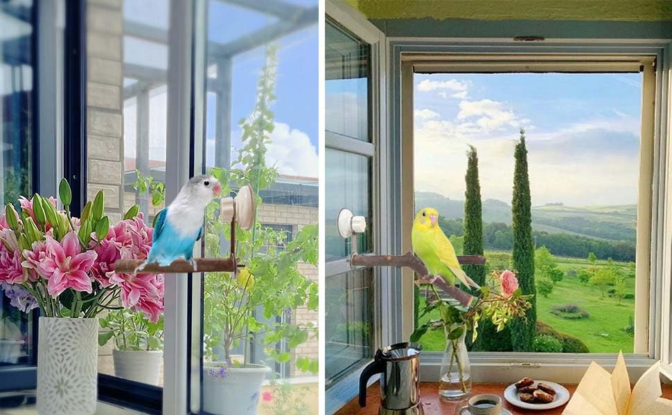 Natural Bird Perch Stand with Suction Cup for Window Mirror Car Shower Travel Bath for Small Medium Large Parrot Parakeet Cockatiel Concure Budgie Macaw Finch Y Shap Indoor Outdoor Outside Wild Birds