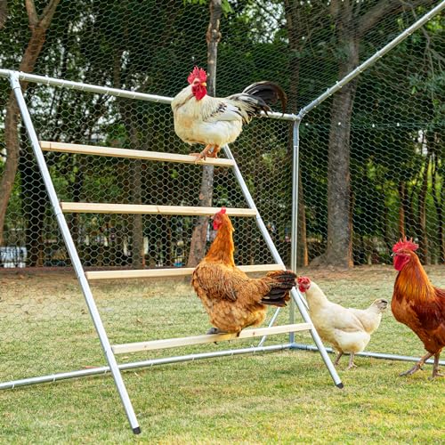 PETSFIT Square Chicken Roosting Perch, 55"x40", 8-10 Chickens | Solid Fir Wood,Chicken Perch for Backyard Farms, Coops, Encourages Exercise and Natural Behavior,Easy Assembly and Clean - size: 55.0"L x 40.0"W x 2.5"H