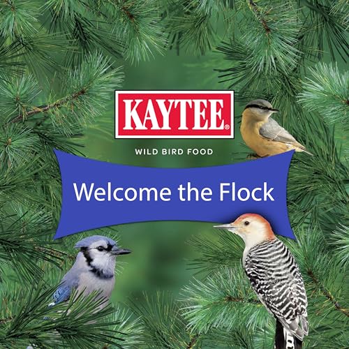 Kaytee Peanuts Wild Bird Food, High in Fat and Protein | Attract birds year-round. Bird food for outside feeders with peanut pieces. No hulls, 100% edible, nuts for birds - size: 10 Pound (Pack of 1)