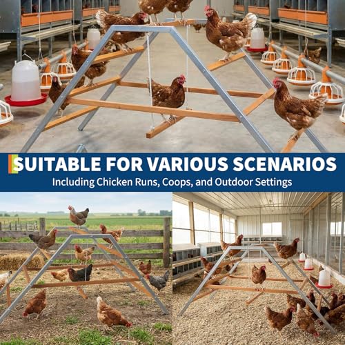 Garvee Chicken Perch with Swing, Chicken Roosting Bars for Healthy Poultry | Solid Wood Ladder & Rustproof Metal Frame for Chickens' Health and Happiness, Chicken Run Toys for Backyard Coops Farms