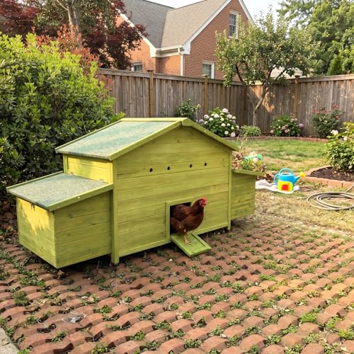 YOPTO Wooden Chicken Coop, 70 in, 2 Nesting Boxes, Green | Solid wood, Waterproof roof, 2 nesting boxes, Pull-out tray, Lockable doors, Ventilated design, Chicken perch - size: 70.0"L x 27.9"W x 31.8"H