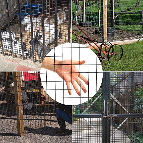 48'' x 50' 1/2inch Hardware Cloth 19 Gauge Black Vinyl Coated Welded Fence Mesh for Home and Garden Fence and Home Improvement Project - size: 48'' x 50'-19 Gauge