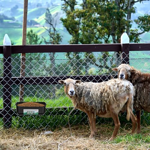 MAQUITA 6 PCS Hanging Chicken Feeder Trough for Goat Sheep Deer Poultry Duck Chicken Fence Feeder Livestock Feeding Container Goats Supplies Feeders Waterer Bucket
