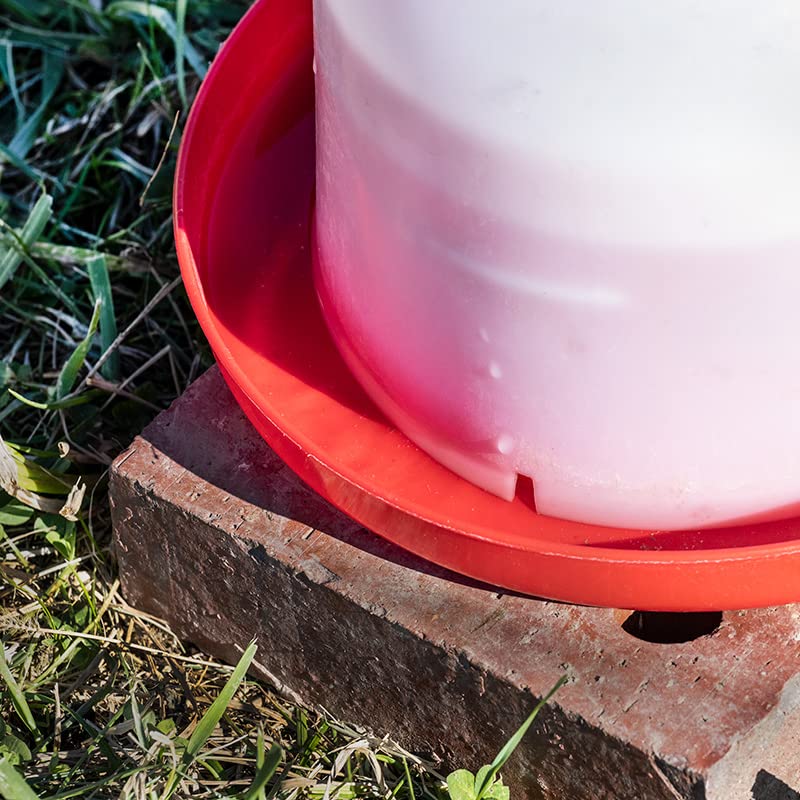 Premier 1 Mid Connect Poultry Waterer – 1 Gallon, Easy to Clean | Mid-connect locking system keeps bayonet connections clear of bedding. Easier to clean than standard waterers. 1 gallon.