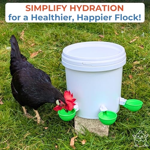 Lil'Clucker - Large Automatic Chicken Waterer Cups Suitable for Ducks, Geese, Turkeys, and Bunny Rabbit - Water Feeder Kit - Poultry Waterer (Green, 12 Pack) - color: Green, size: 12 Pack