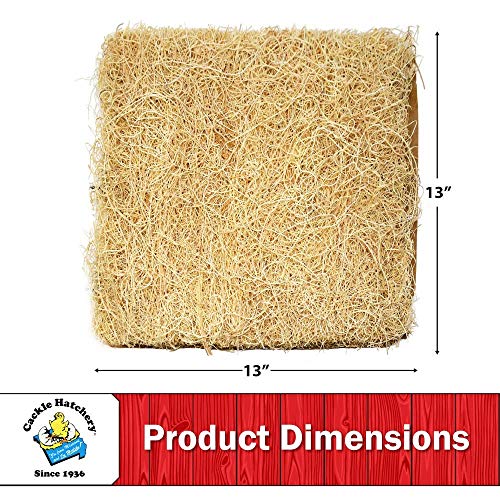 Laying Hen Nest Box Pads Made in USA from Sustainable Aspen Exceslior - 13x13 Nesting Box Liners (6-Pack) - size: 6-Pack