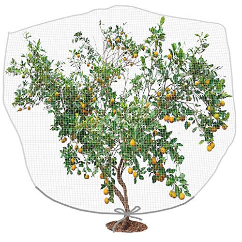 Alpurple 6.5 x 8.2 Feet Insect Bird Barrier Netting Mesh with Drawstring -Garden Bug Netting Plant Cover for Protect Plant Fruits Flower from Insect Bird Eating - color: 78 X 98 Inch