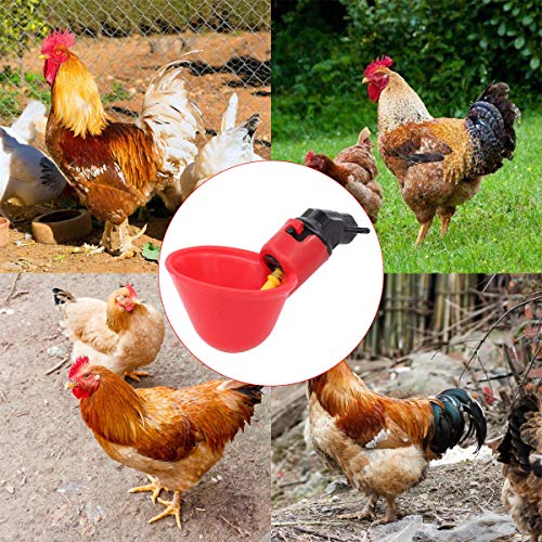 30 Pack Automatic Water Drinking Cups w/Nuts, Waterer Drinker | for Poultry Quail Chicken Hen Duck