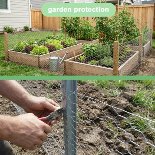 Galvanized Chicken Wire Mesh Roll 16.5" x 393", 0.8 Inch Hexagonal Poultry Netting Fence for Garden, Rabbits, Chicken Coop, Plant Protection & DIY Crafts - size: 16.5 inch x 32.8 Ft