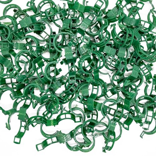Piteno® 300Pcs Tomato Clips, Plastic Trellis Clips, Plant Support Clips, Grape Vine Tomato Vine Vegetables Plants Garden Support Clips to Grow Upright Makes Plants Healthier (Green) - color: Green
