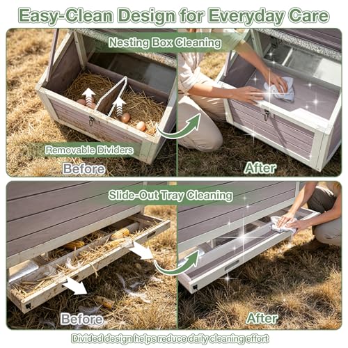 Large Chicken Coop for 2-4 Chickens, Outdoor Wooden Hen House with Weatherproof Asphalt Roof, 4 Sectionable Nesting Box, Dual Ramp Doors, Pull-Out Tray, 67.3" L x 36.8" W x 40.6" H - Grey - size: 67.3"L x 36.8"W x 40.6"H