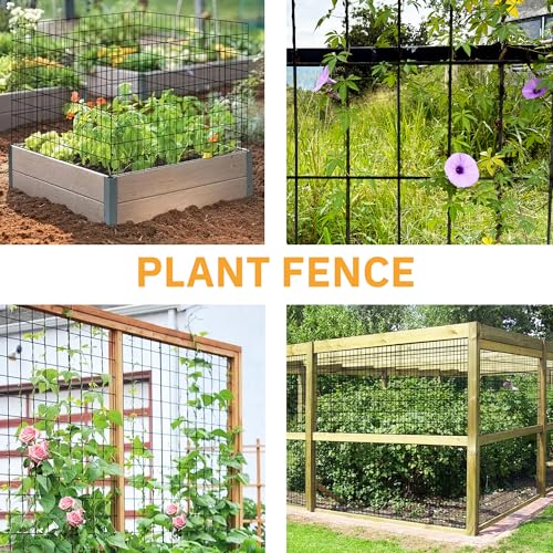 Black Metal Garden Fence, 60inch(H) x 100ft(L), 2 inch x 3 inch,14GA 2/3/4/5/6 Ft Tall Chicken Wire PVC Coated Welded Wire Mesh Roll for Dogs Border Yard Vegetable Plant Protection Poultry Netting - color: Black, size: 14GA 2x3 60"x100'