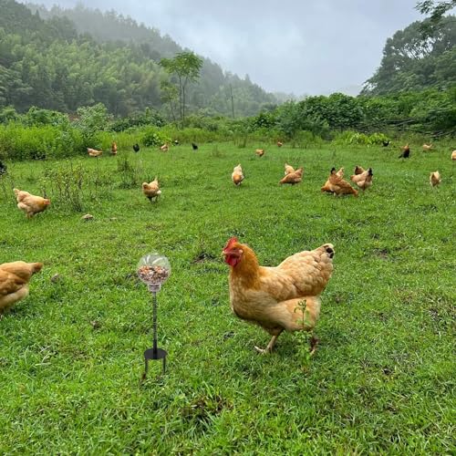Oooct 2 Pack Chicken Peck Toy - Chicken Enrichment Toys with Swing Feeder & Slow Feeder for Hens, Ducks, Parrots - size: 2 Pack
