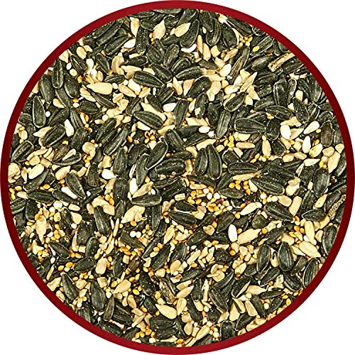 Kaytee Midwestern Regional Seed Blend for Cardinals, Finches, Chickadees, Woodpeckers and Other Outside Wild Birds, 14 Pound Box - size: 14 Pound (Pack of 1), style: Midwest