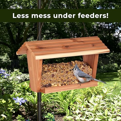 Kaytee Wild Bird Ultra No Mess Nut & Fruit Food Seed Blend For Blue Jays, Woodpeckers, Juncos, Cardinals, Grosbeaks, Sparrows, and Finches, 5.5 Pound - size: 5.5 Pound (Pack of 1)