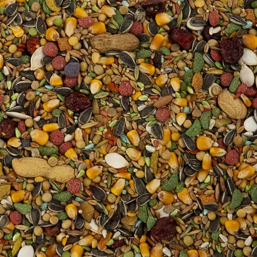 Wild Harvest Advanced Nutrition Parrot, 4 Pounds, Seed, Grain And Vegetable Mix - size: 4 Pound (Pack of 1)