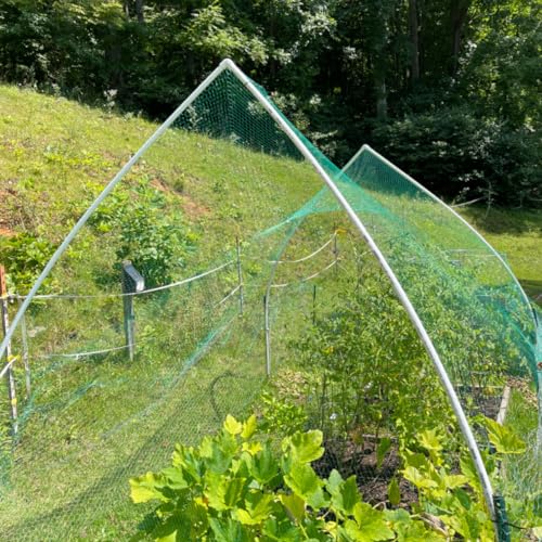 Bird Netting for Garden Protect Vegetable Plants and Fruit Trees, 13x33ft | Garden Netting Mesh for Anti Birds, Deer, Squirrels - size: 13x33ft