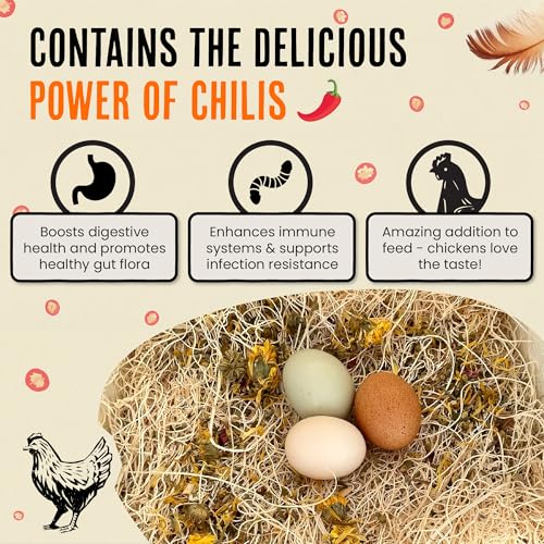 Roosty's Chicken Nesting Herbs Chili Mix, Coop Refresher, 16oz | Freshens Chicken Coops • USA Made • Chili Herb Blend • Supports Nesting Areas • Easy Coop Sprinkle