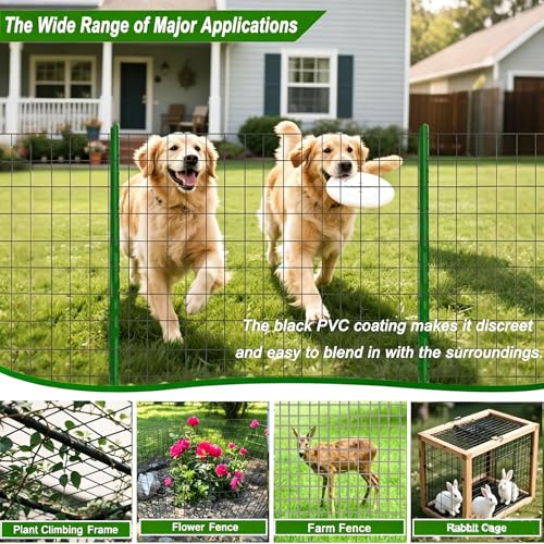 Welded Wire Fence 36inch x 50ft Roll,16 Gauge 2" x 3" Mesh Black | Rustproof Vinyl Coated Double-Layer Thick Wire, for Garden Fencing, Dog Fence, Chicken Wire Fencing, Yard & Pet Barrier