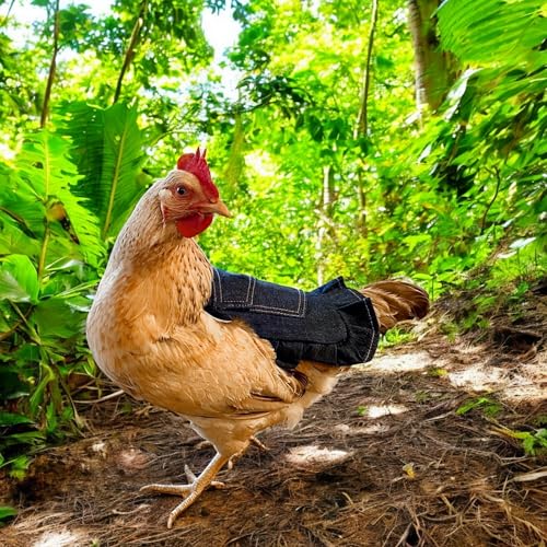 BuleVina 3PCS Chicken Saddle for Hens, Comfortable Denim Aprons Clothes with Adjustable Strap, Poultry Wing Feather Back Protector Reusable Saddle Vest Jacket Keep Hens Warm Care Supplies