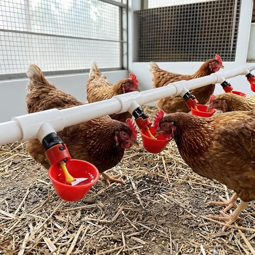 24 Pack Automatic Chicken Waterer Cups with PVC Tee, Chicken Water Feeder Chicken Water Bowls Poultry Water Feeder Kit for Chicks, Duck, Goose, Turkey and Bunny