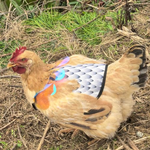 Chicken Saddles for Hens with Detachable Wings, Adjustable Hen Apron Back Protector for Feather Recovery, Double-Layer Breathable Poultry Saver for Standard Breeds (White 2pcs) | Double-Layered Breathable Poultry Back Protector For Hens During Mating And