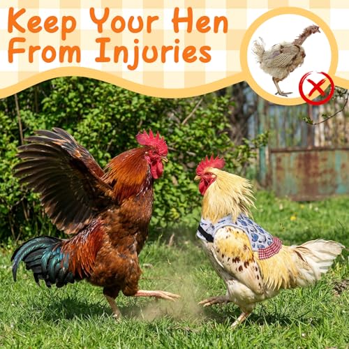 6 Pcs Chicken Saddle for Hens, Chicken Aprons Back Protector | Chickens Vest Jacket Saddles for Hens for Poultry Hen Feather Fixer Supplies (Adjustable Strap, Chicken) - style: Adjustable Velcro, Chicken Theme