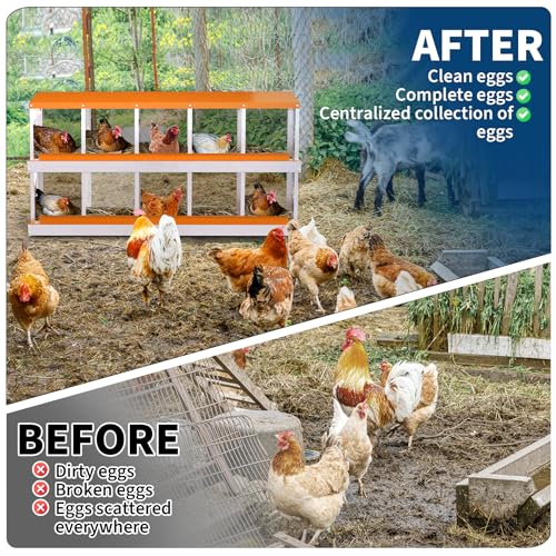 10 Compartment Galvanized Metal Chicken Nesting Box with Support Legs, Easy Install & Clean Roll Out Egg Laying Boxes for Backyard Chicken Coop, Anti-Rust Egg Protection Nest,Orange - color: Orange, size: 10 holes