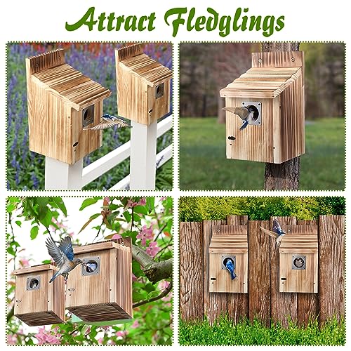Dreyoo 1 Pack Cedar Bluebird Box Houses for Outside, 1-1/2” Entrance Hole Wooden Bird Houses with Metal Predator Guard, Secure Latch, Fledgling Grooves, Air Vents for Bluebird Wren Swallow Finch