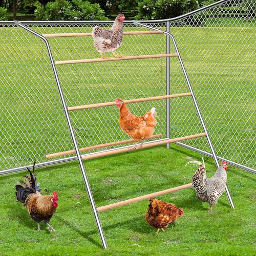 Chicken Roosting Bars with Swing for Coop, Large 4-Tier Wood Chicken Perch for Backyard Poultry, Non-Slip Design, Durable Galvanized Metal Frame, Essential Chicken Coop Accessories (55" L x 40" W) - size: 74" L x 40" W