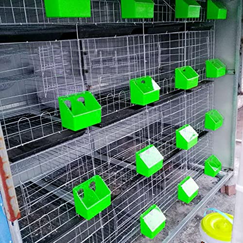 Pigeon Feeder Water 2 Pack Quail Bird Chicken Feeder Water Dispenser Drinkers with 2 Hole Pet Bowls & Feeders Eat Food (Two Hole (Green))