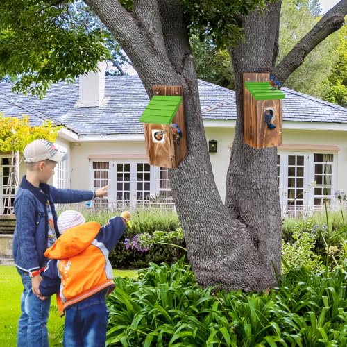 Dreyoo 2 Pack Bluebird Box Houses for Outside,1-1/2'' Entrance Hole Wooden Bird Houses with Metal Guard, Secure Latch,Fledgling Grooves,Air Vents for Bluebird Wren Swallow(Green Roof,Burnt Wood Body) - color: Green Roof,Burnt Wood Body
